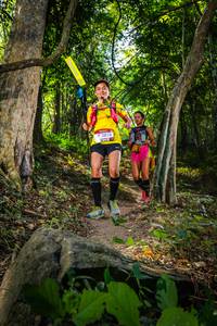 BIB: 2810
                            <button type="button" onclick="openModal(6917422)" class="btn btn-primary btn-sm float-right btn-popup" data-toggle="modal" data-target=".modal-high-quality">
                        <i class="fas fa-shopping-cart"></i> Add to Cart
                    </button>
                                            <button type="button" onclick="isThisMe(6917422, true)" class="btn btn-success btn-sm float-right btn-popup btn-isme hidden" data-toggle="tooltip" data-placement="bottom" title="นี่คือรูปของคุณใช่ไหม คลิกที่นี่เพื่อเอาเข้าอัลบั้ม">
                        <i class="fas fa-plus"></i> Add to album
                    </button>
                    <button type="button" onclick="isThisMe(6917422, false)" class="btn btn-warning btn-sm float-right btn-popup btn-isnotme hidden">
                        <i class="fas fa-ban"></i> Remove from album
                    </button>